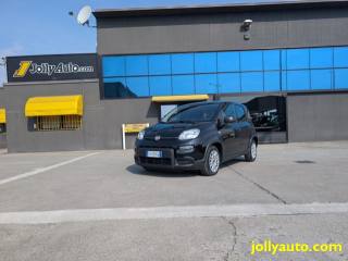 FIAT Panda usata 18