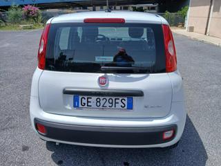 FIAT Panda usata, con Alzacristalli elettrici