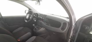 FIAT Panda usata 37