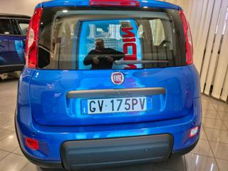 FIAT Panda usata, con Boardcomputer