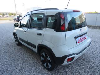 FIAT Panda usata, con Controllo trazione