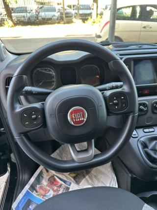 FIAT Panda usata, con Controllo trazione