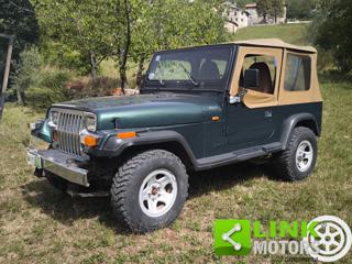 JEEP Wrangler usata 14