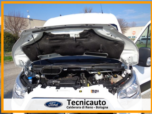FORD Transit usata 19