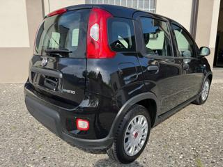 FIAT Panda usata, con Antifurto