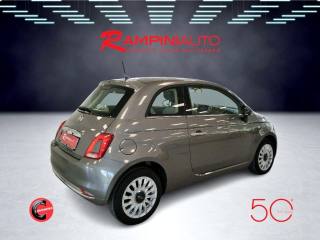 FIAT 500 usata 6