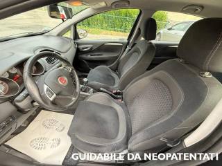 FIAT Punto usata, con Chiusura centralizzata