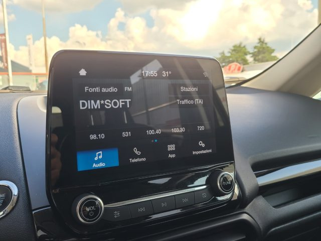 FORD EcoSport usata, con Bracciolo