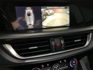 ALFA ROMEO Stelvio usata, con Park Distance Control