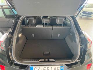 FORD Puma usata, con Fendinebbia