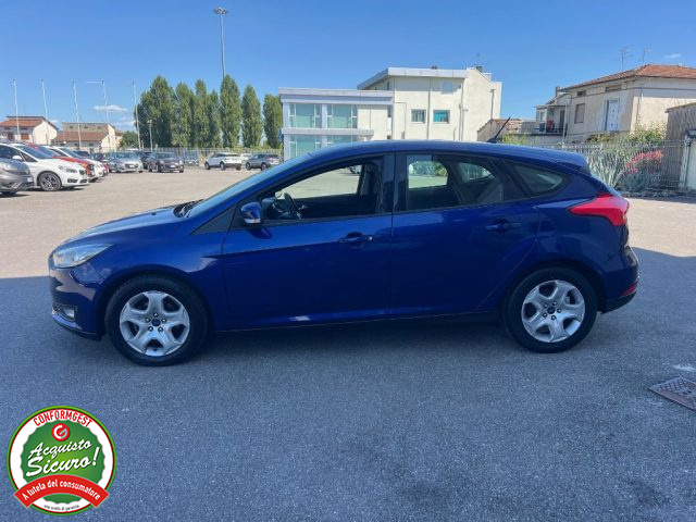 FORD Focus usata, con Cruise Control