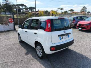 FIAT Panda usata 3