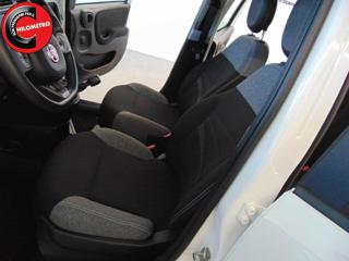 FIAT Panda usata, con Alzacristalli elettrici