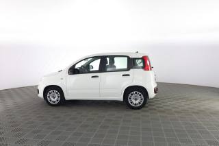 FIAT Panda usata 5