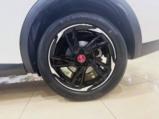 DS AUTOMOBILES DS 7 Crossback usata, con Cruise Control