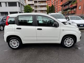 FIAT Panda usata, con Airbag Passeggero