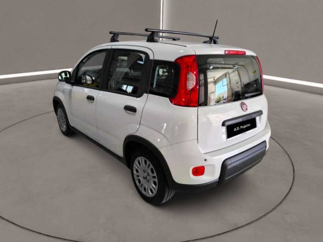 FIAT Panda usata, con Controllo trazione