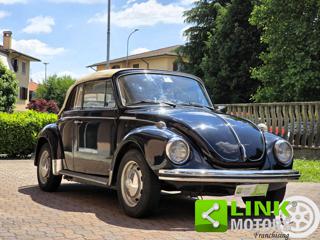 VOLKSWAGEN Maggiolone usata 6