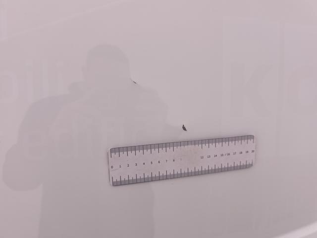 FORD Transit Courier usata 31