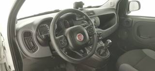 FIAT Panda usata 42