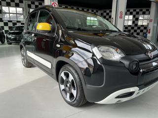 FIAT Panda usata 18