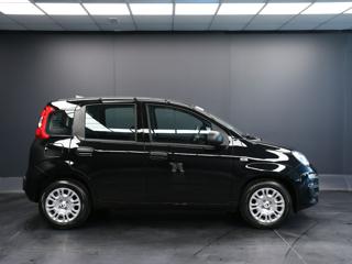 FIAT Pandina usata, con Autoradio