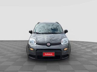 FIAT Panda usata 7