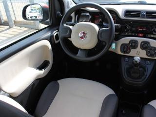 FIAT Panda usata, con Volante multifunzione