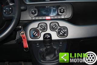 FIAT Panda usata 53