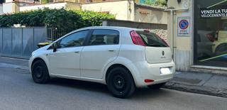 FIAT Punto usata 10