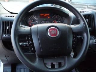 FIAT Ducato usata, con Fendinebbia