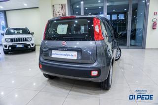 FIAT Panda usata, con Airbag Passeggero