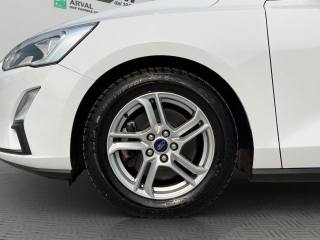 FORD Focus usata, con Bracciolo