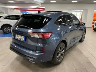 FORD Kuga usata, con Fendinebbia