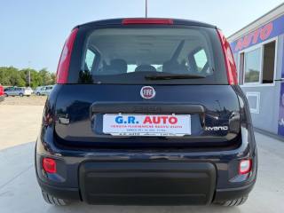 FIAT Panda usata, con Climatizzatore