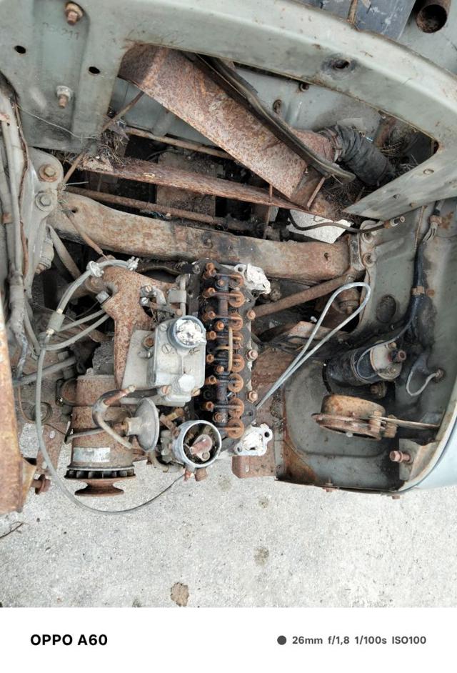 FIAT 500 usata 13