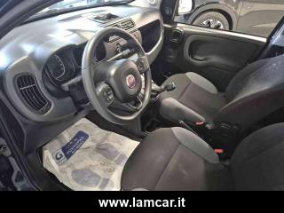 FIAT Panda usata, con Volante multifunzione