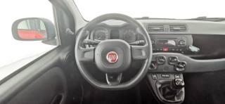 FIAT Panda usata 43
