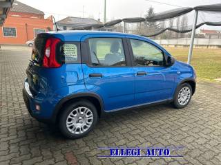 FIAT Panda usata, con Airbag Passeggero