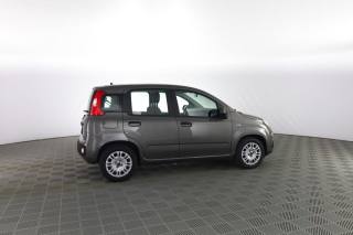 FIAT Panda usata 2