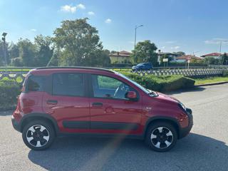 FIAT Panda Cross usata, con Climatizzatore