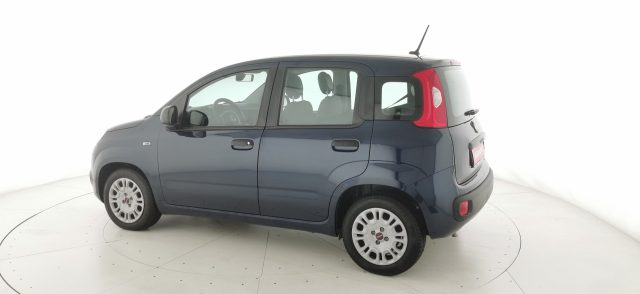 FIAT Panda usata 30