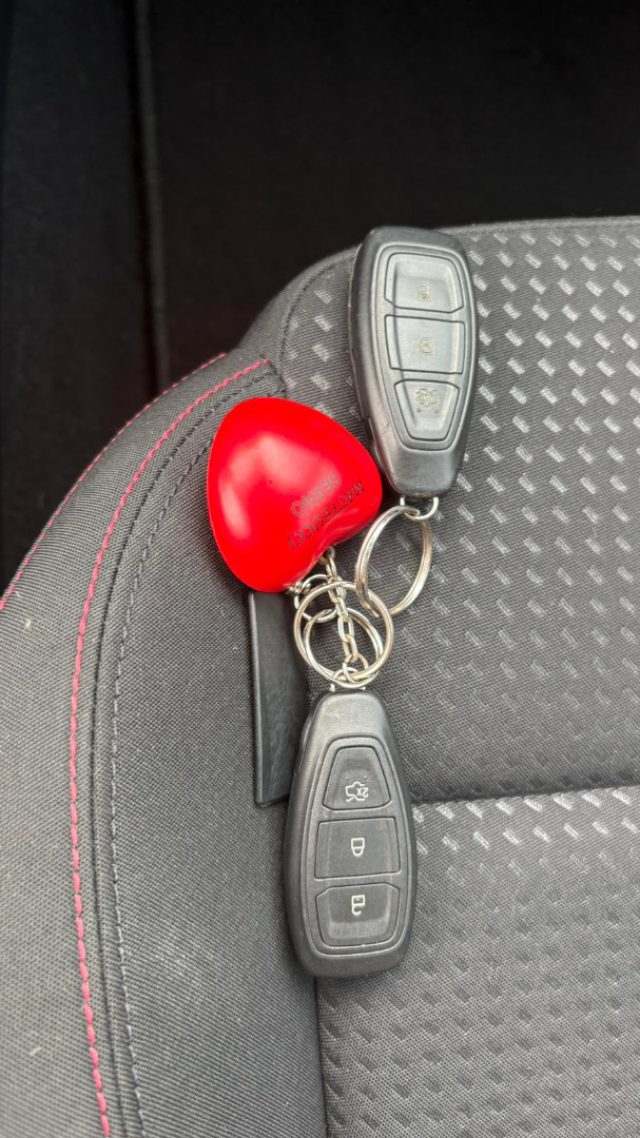 FORD Focus usata 14