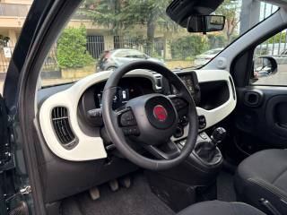 FIAT Panda usata, con Antifurto