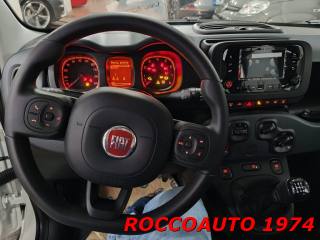 FIAT Panda usata, con Controllo trazione