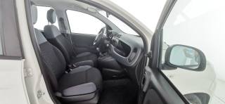FIAT Panda usata 46