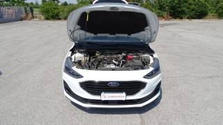 FORD Focus usata 132