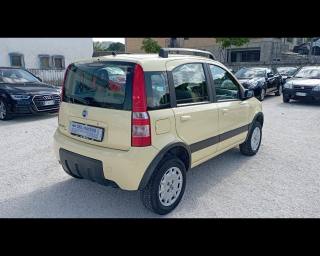 FIAT Panda usata 13