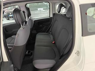 FIAT Panda usata 13