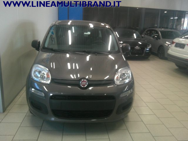 FIAT Panda usata, con Airbag testa